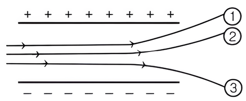 Question 2 Question-Image